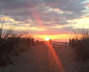 Surf city best sale lbi beach badges